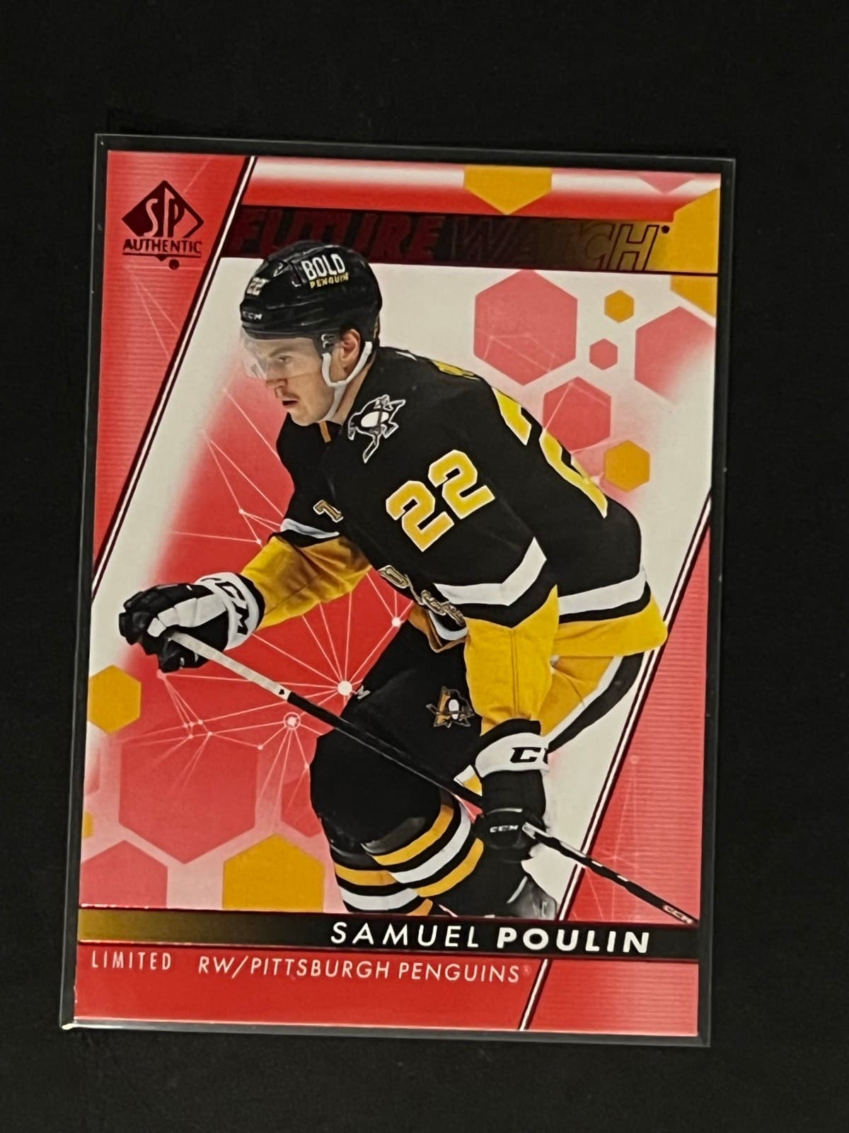 Samuel Poulin