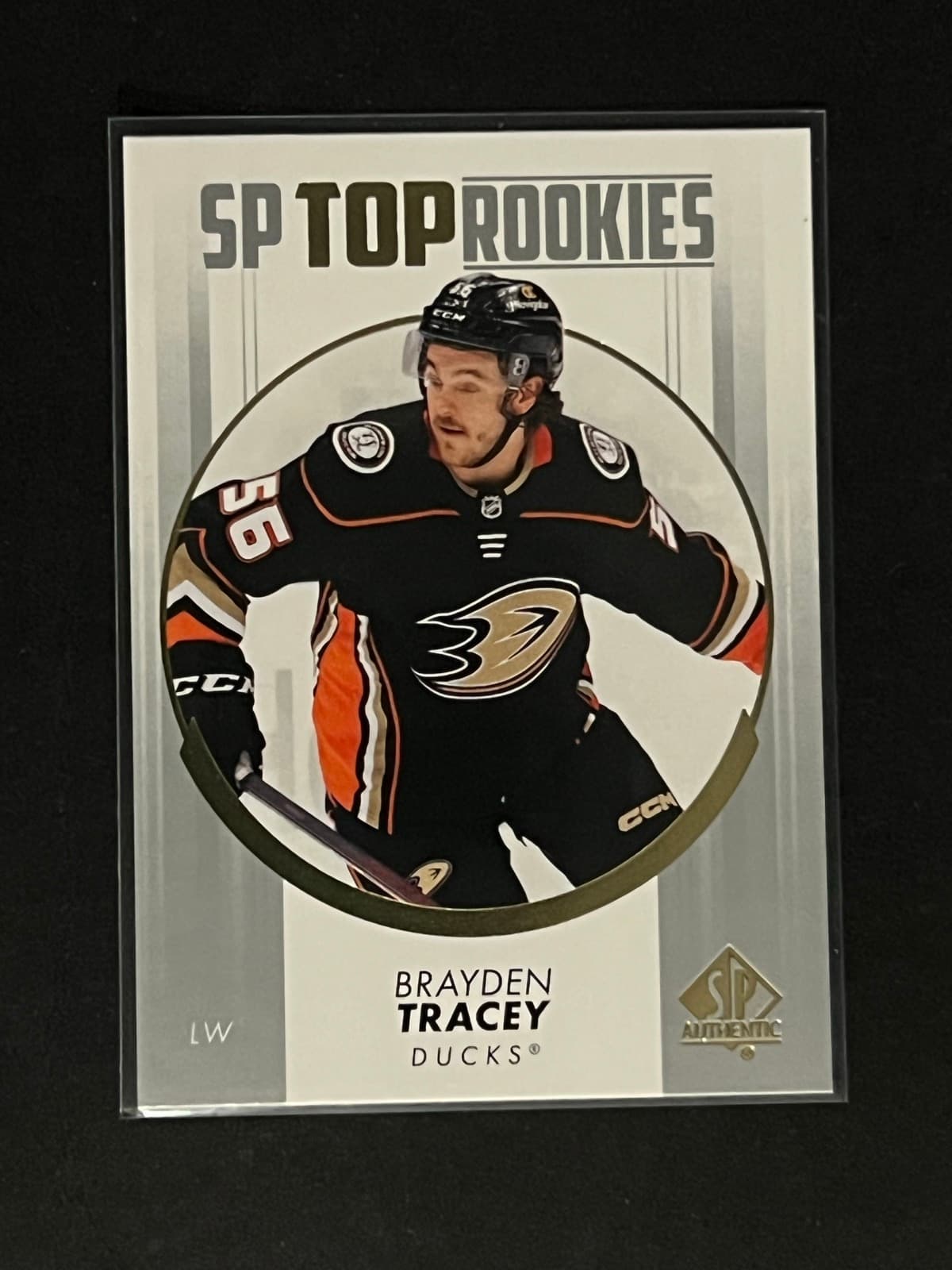 Brayden Tracey