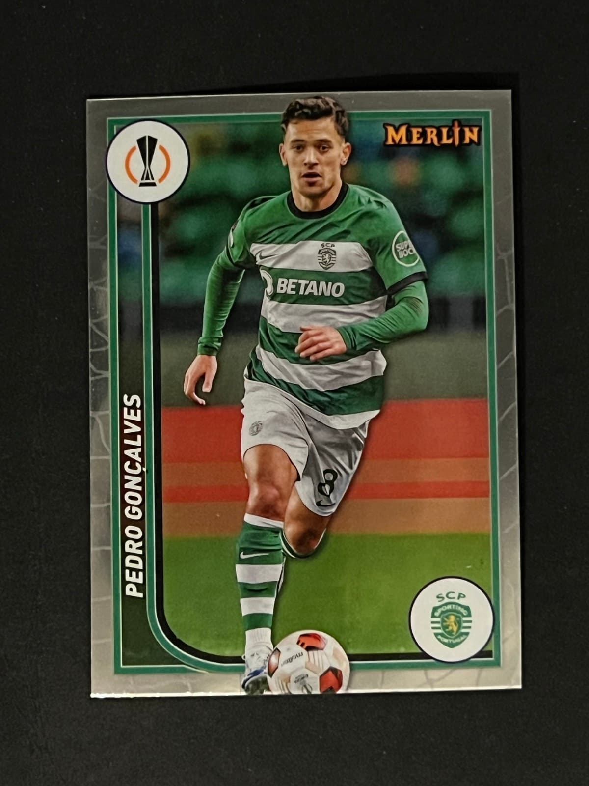 Pedro Gonçalves