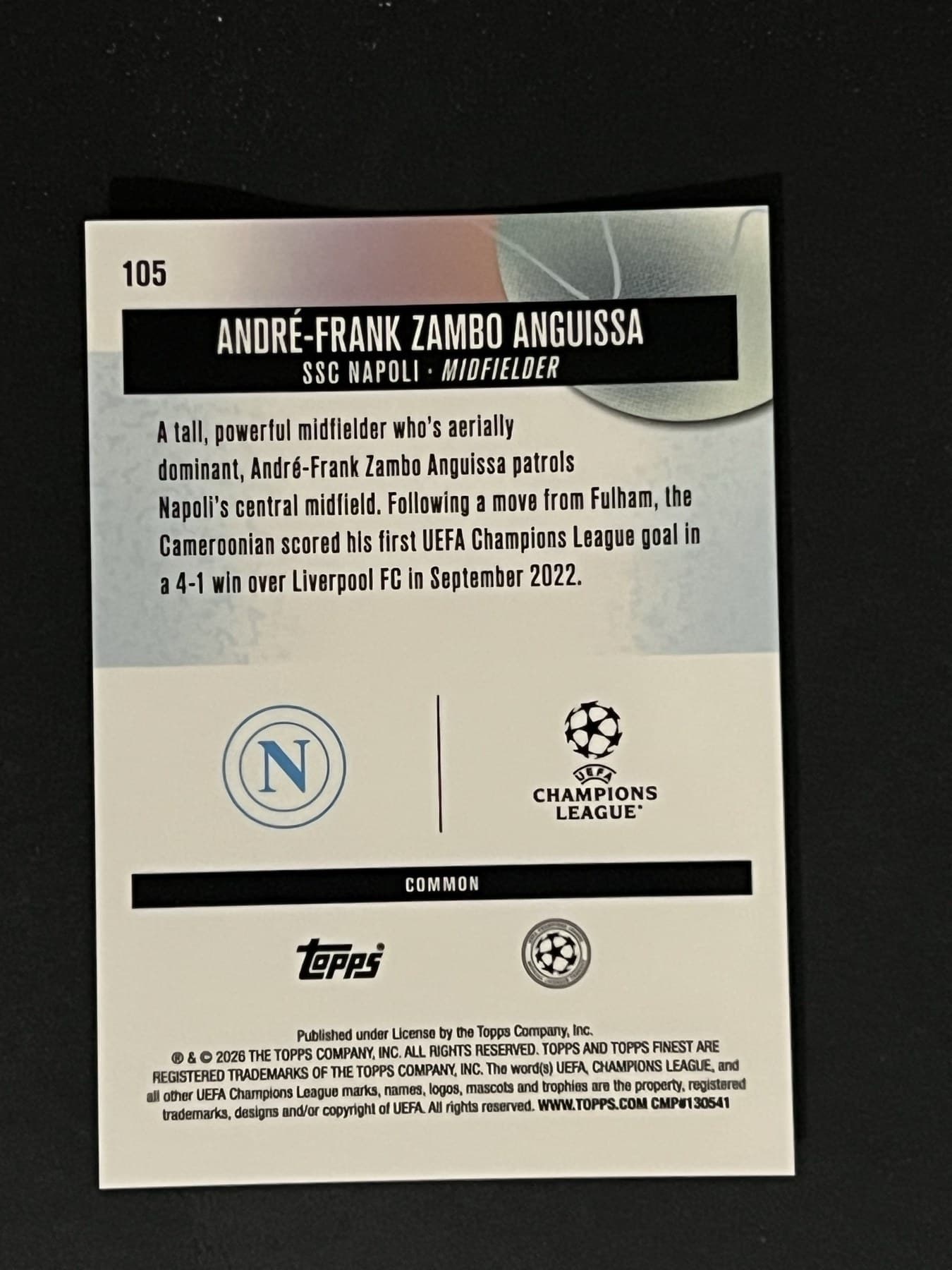 André-Frank Zambo Anguissa back