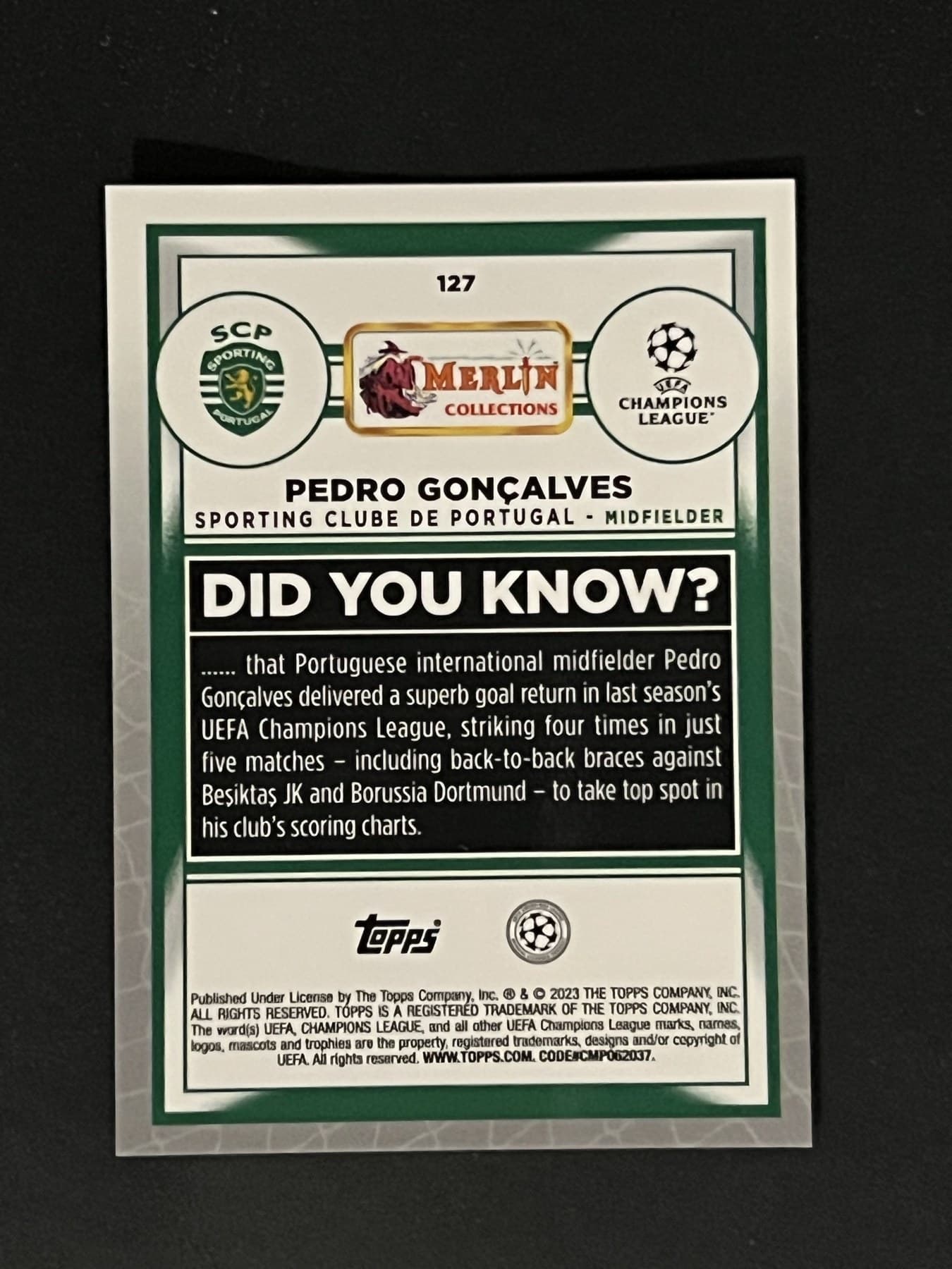 Pedro Gonçalves back