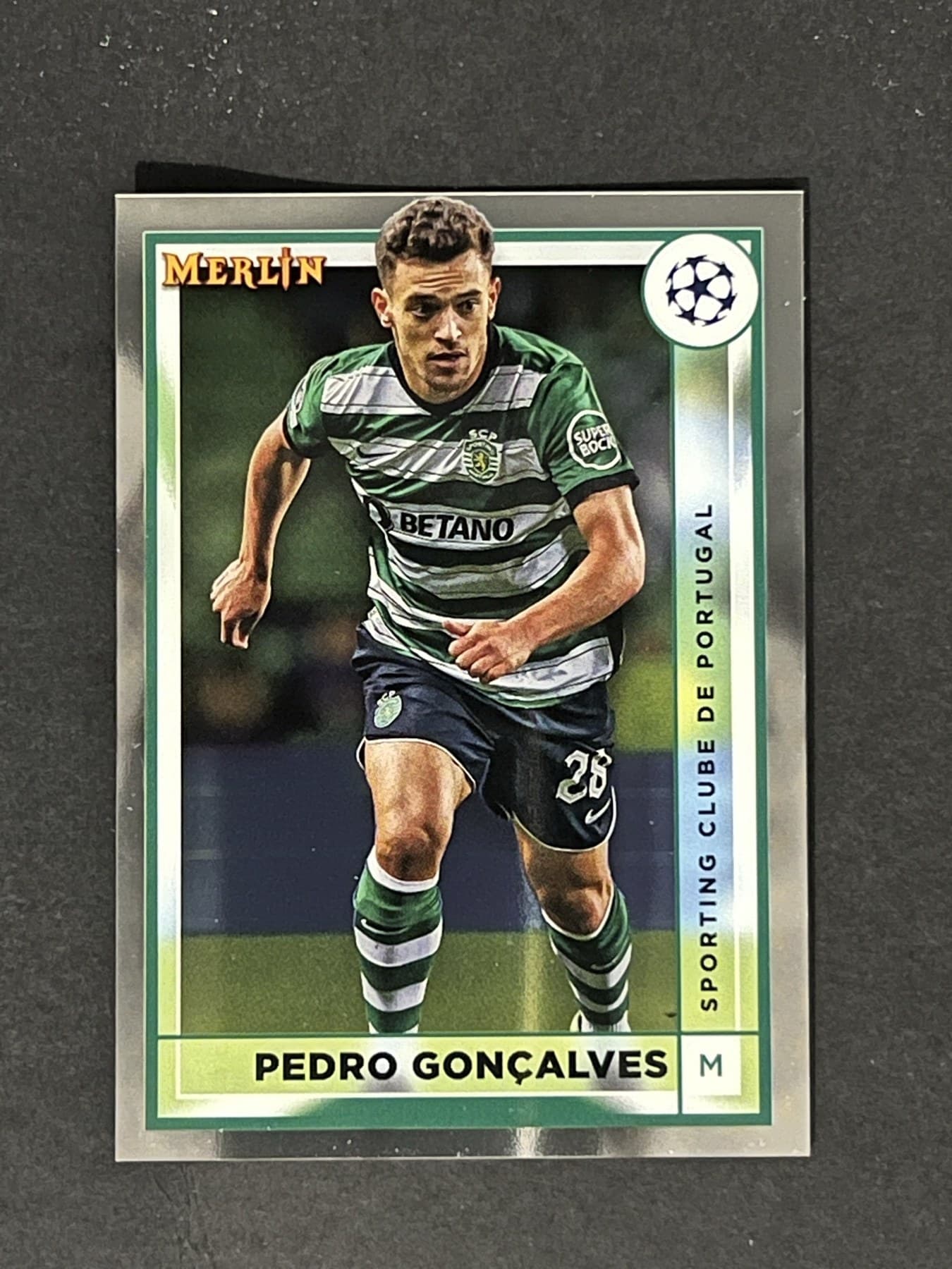 Pedro Gonçalves