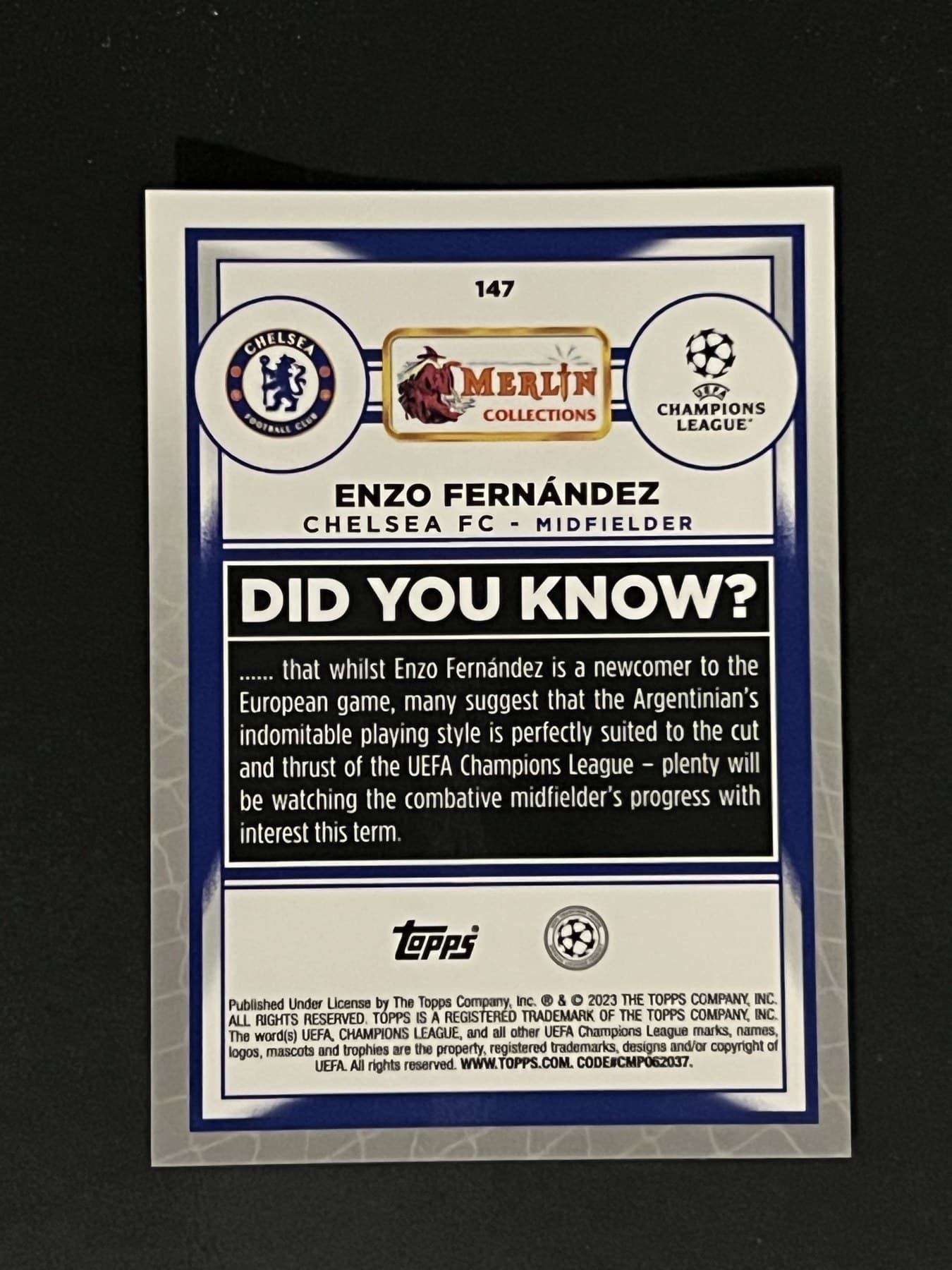 Enzo Fernández back