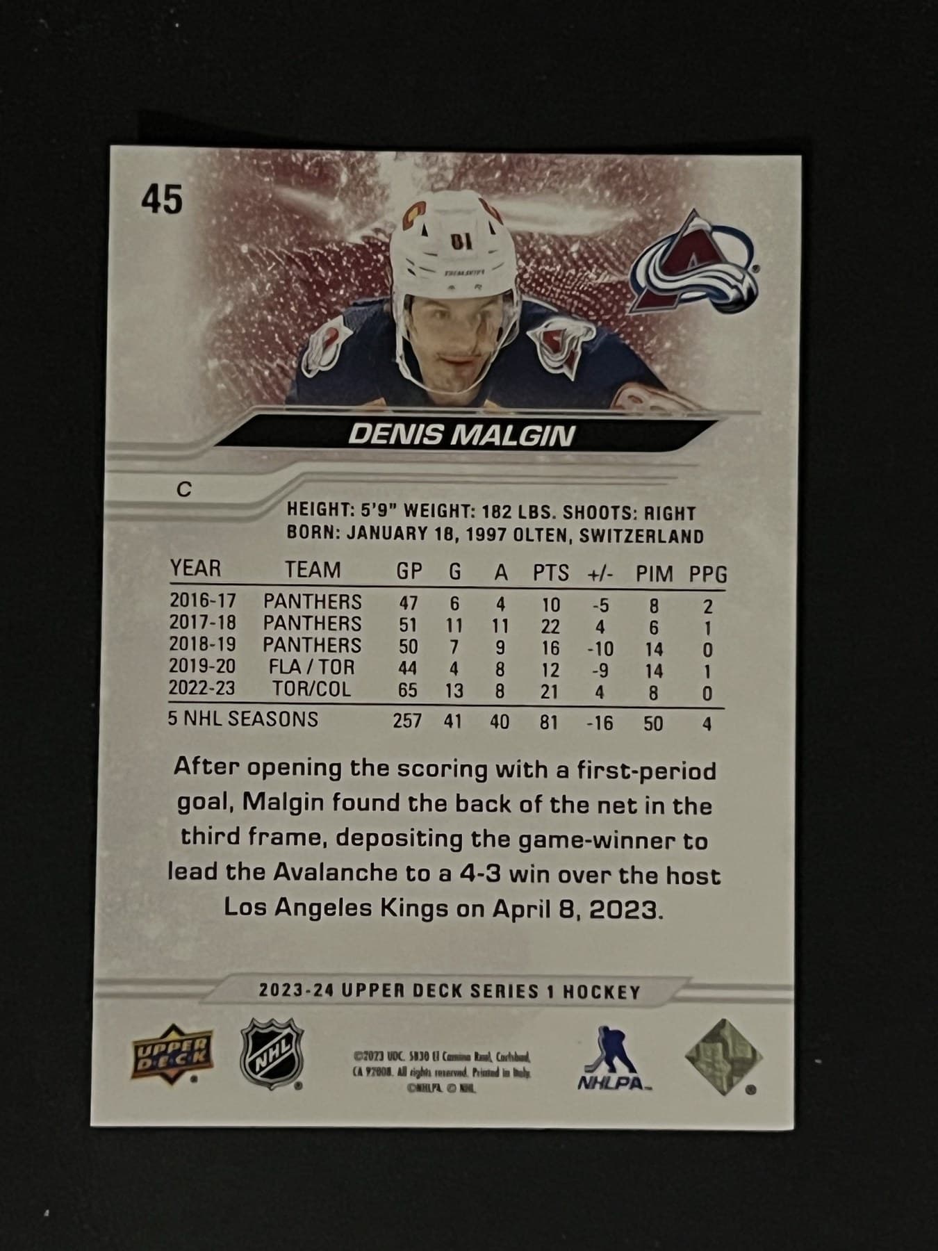 Denis Malgin back