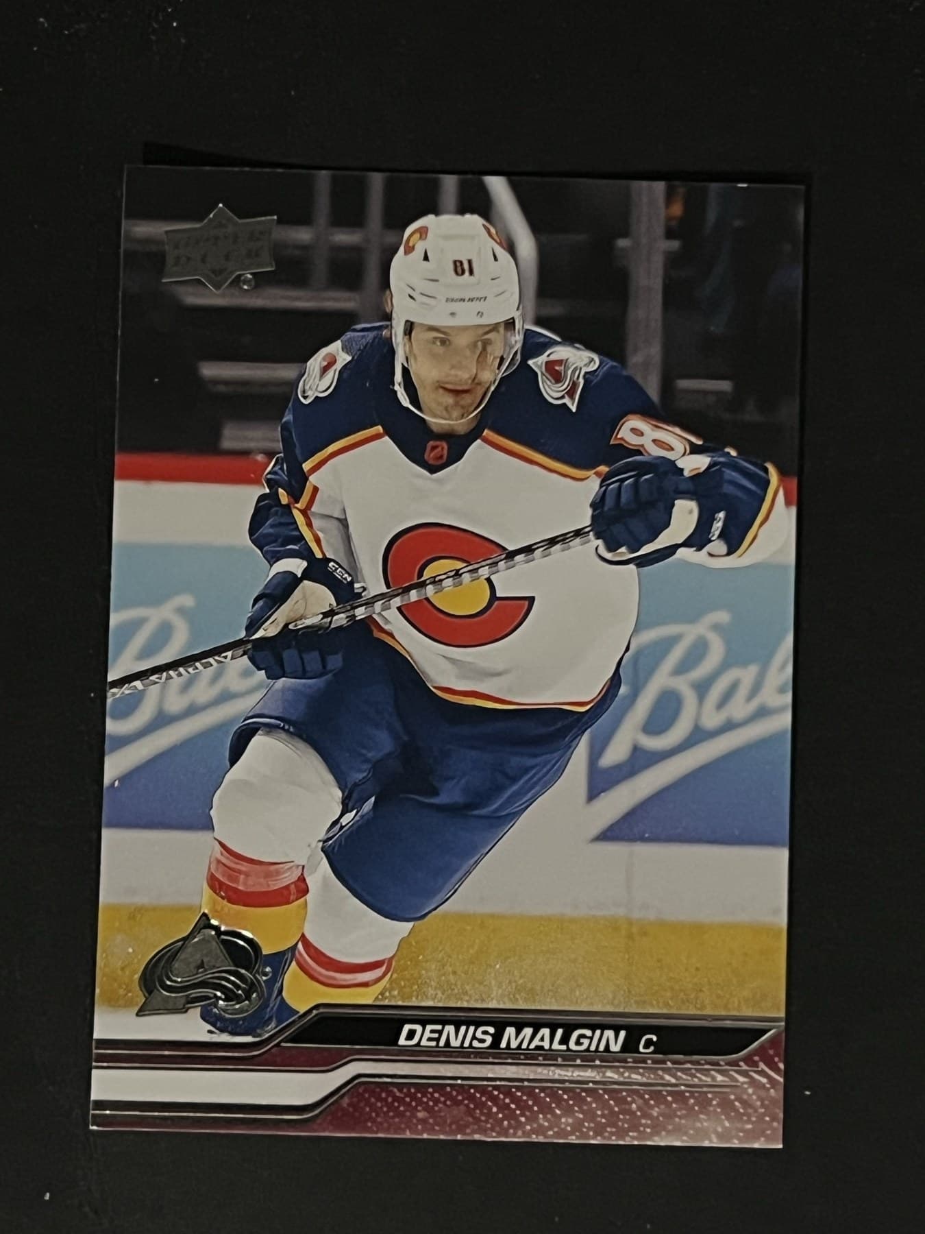 Denis Malgin