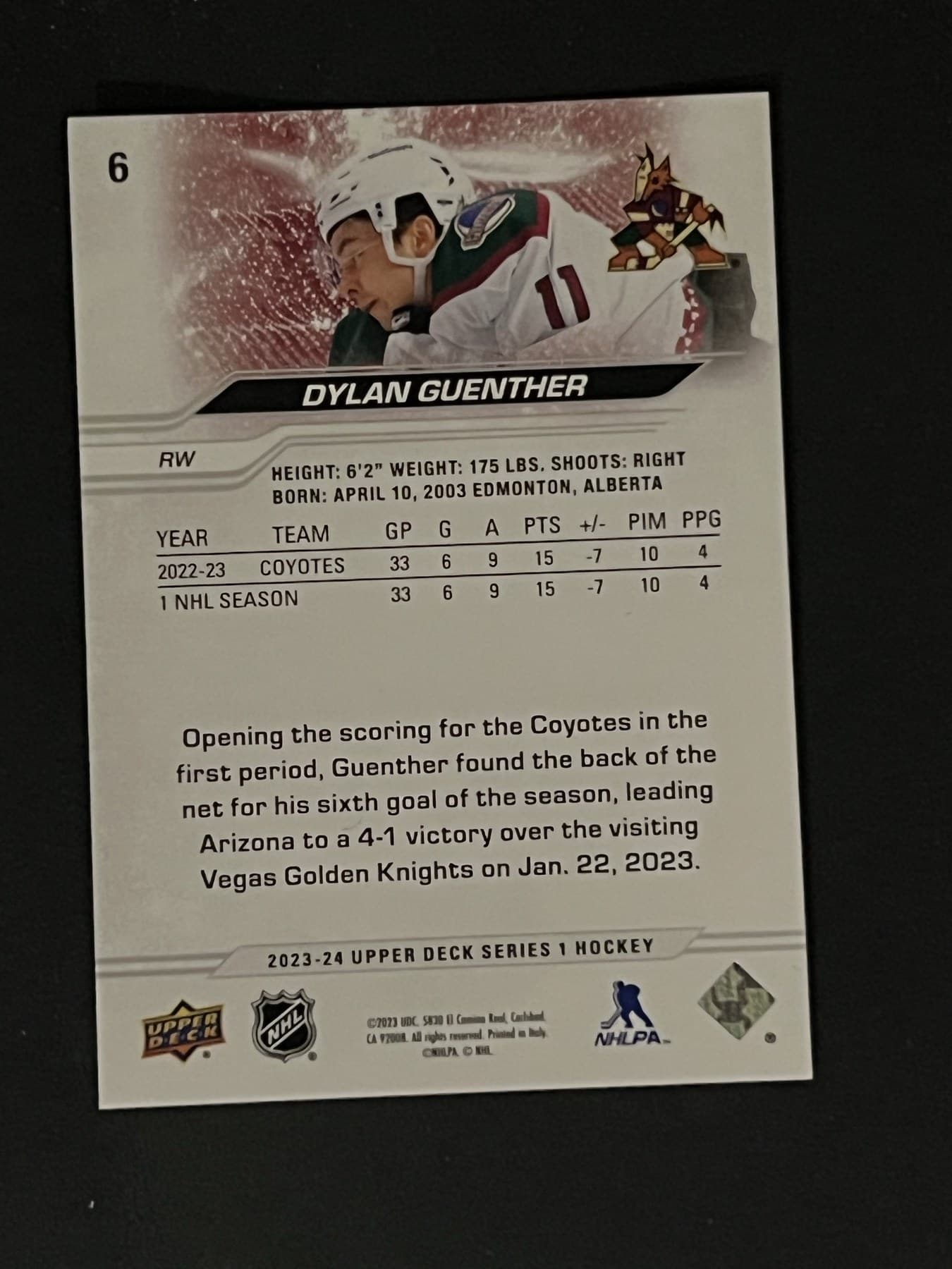 Dylan Guenther back