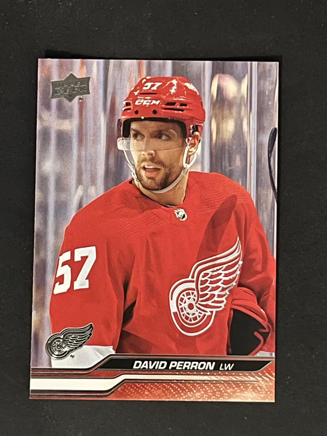 David Perron