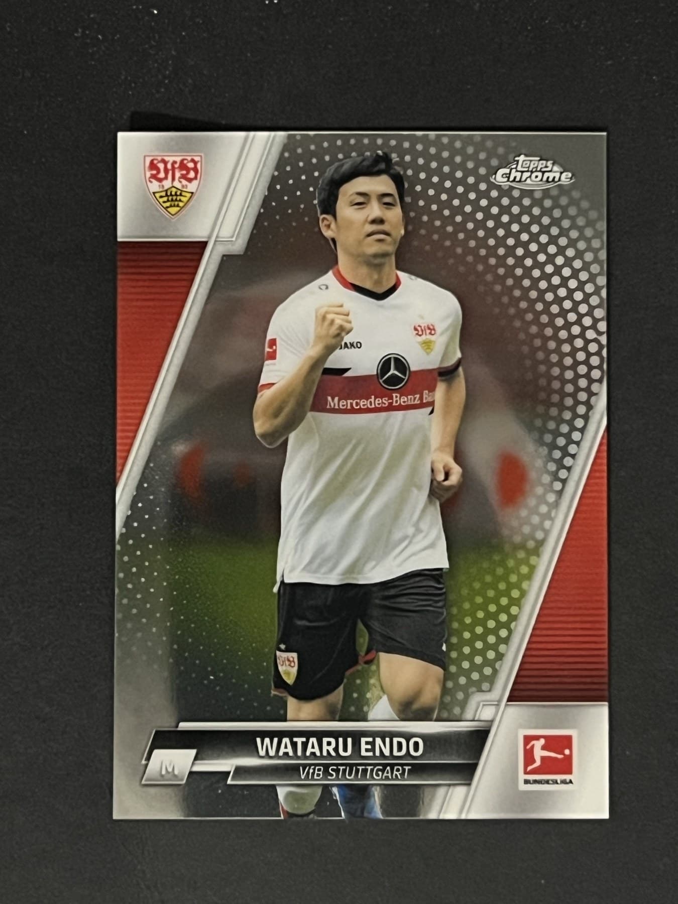 Wataru Endo