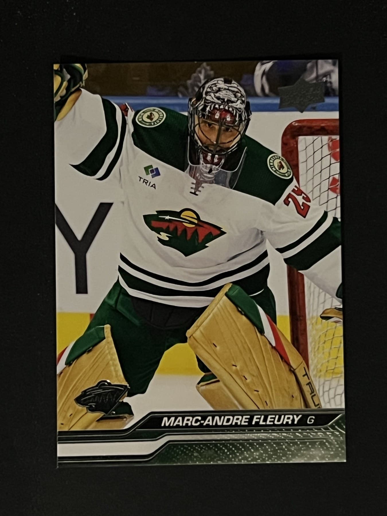 Marc-Andre Fleury
