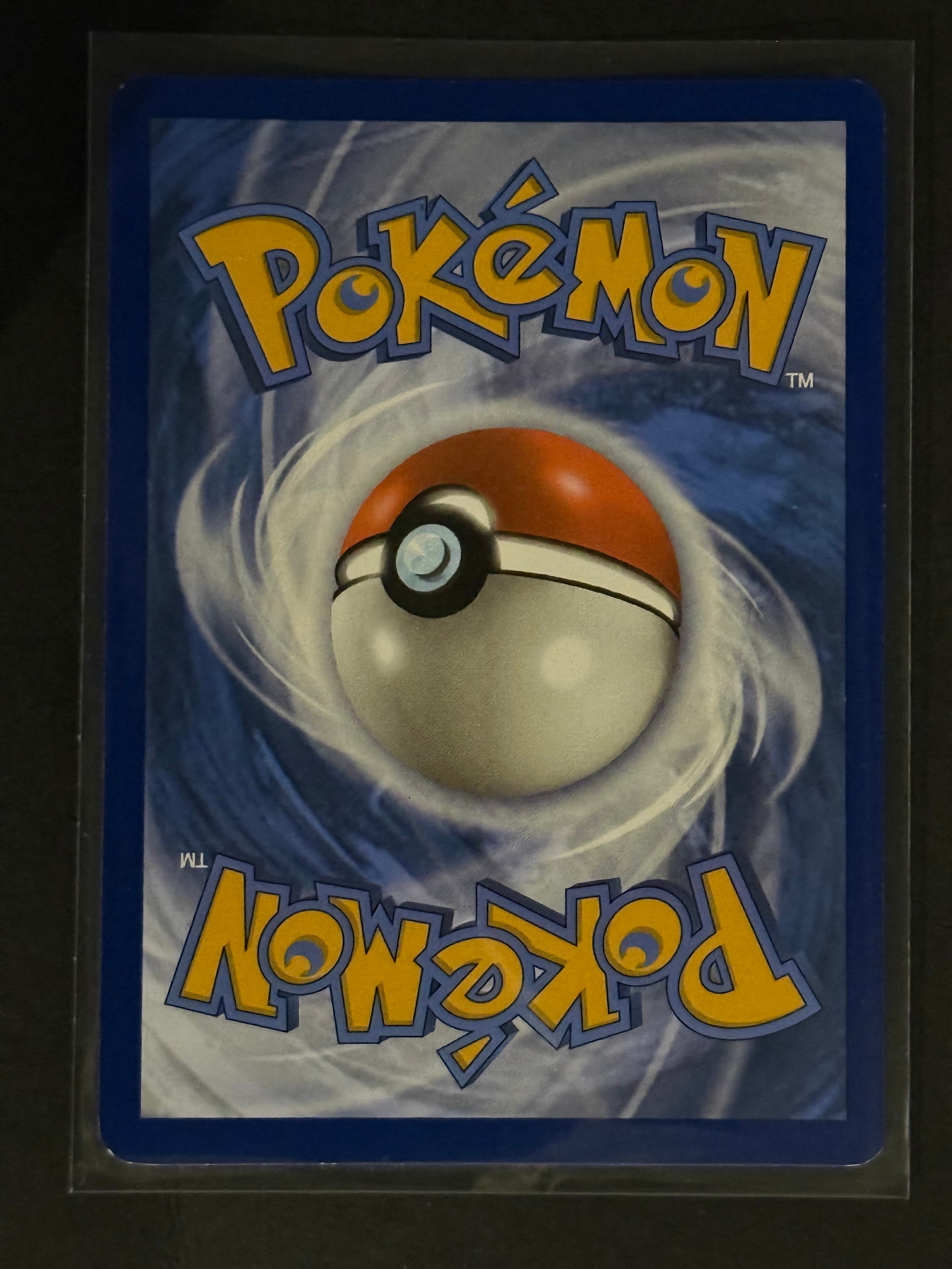 Kangaskhan ex back