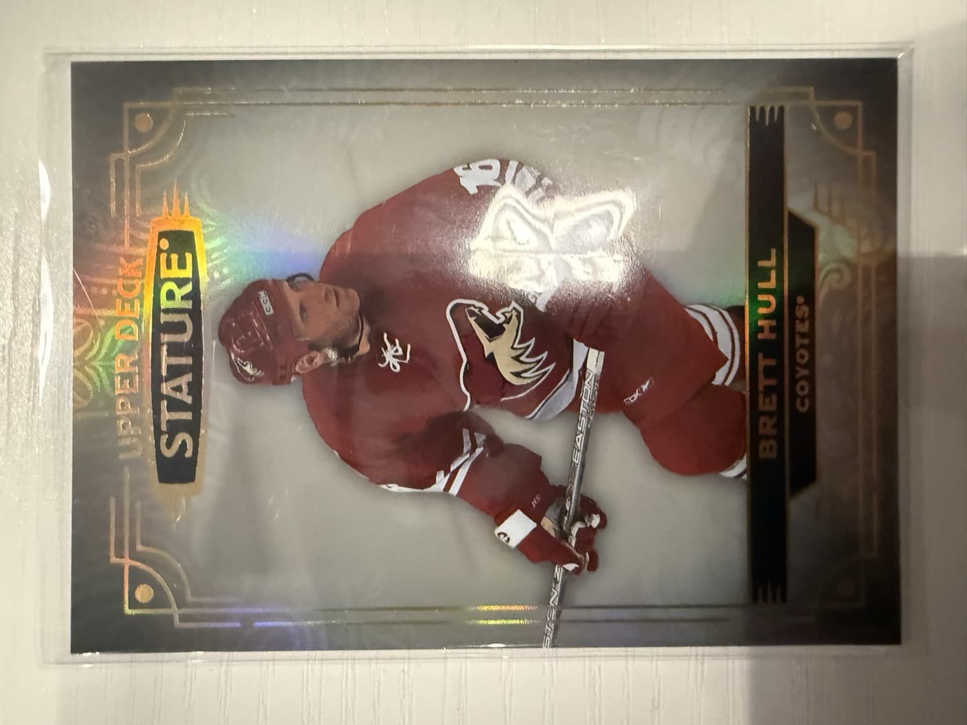 Brett Hull