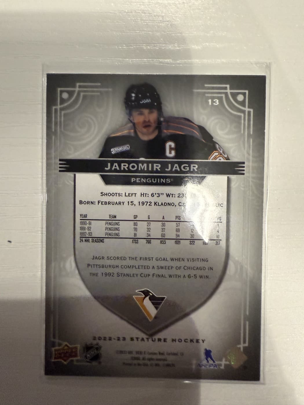 Jaromir Jagr back