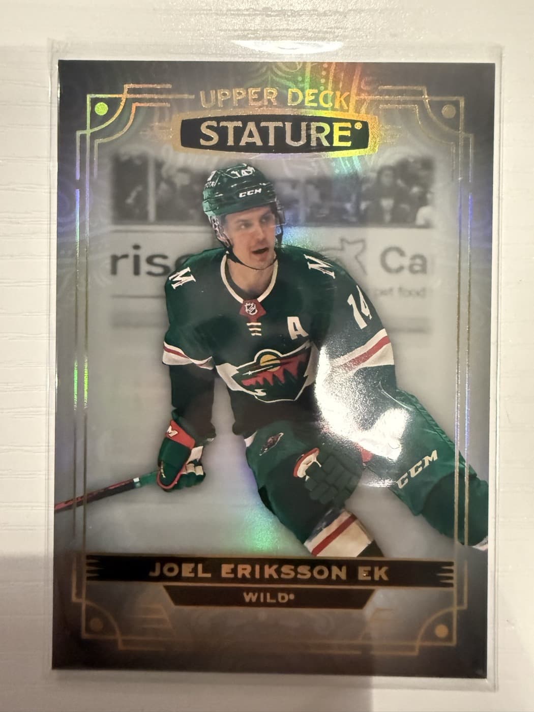 Joel Eriksson Ek