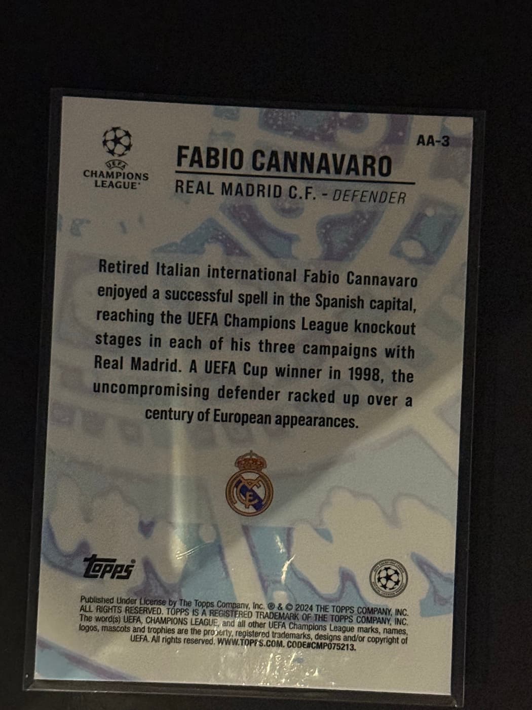 Fabio Cannavaro back