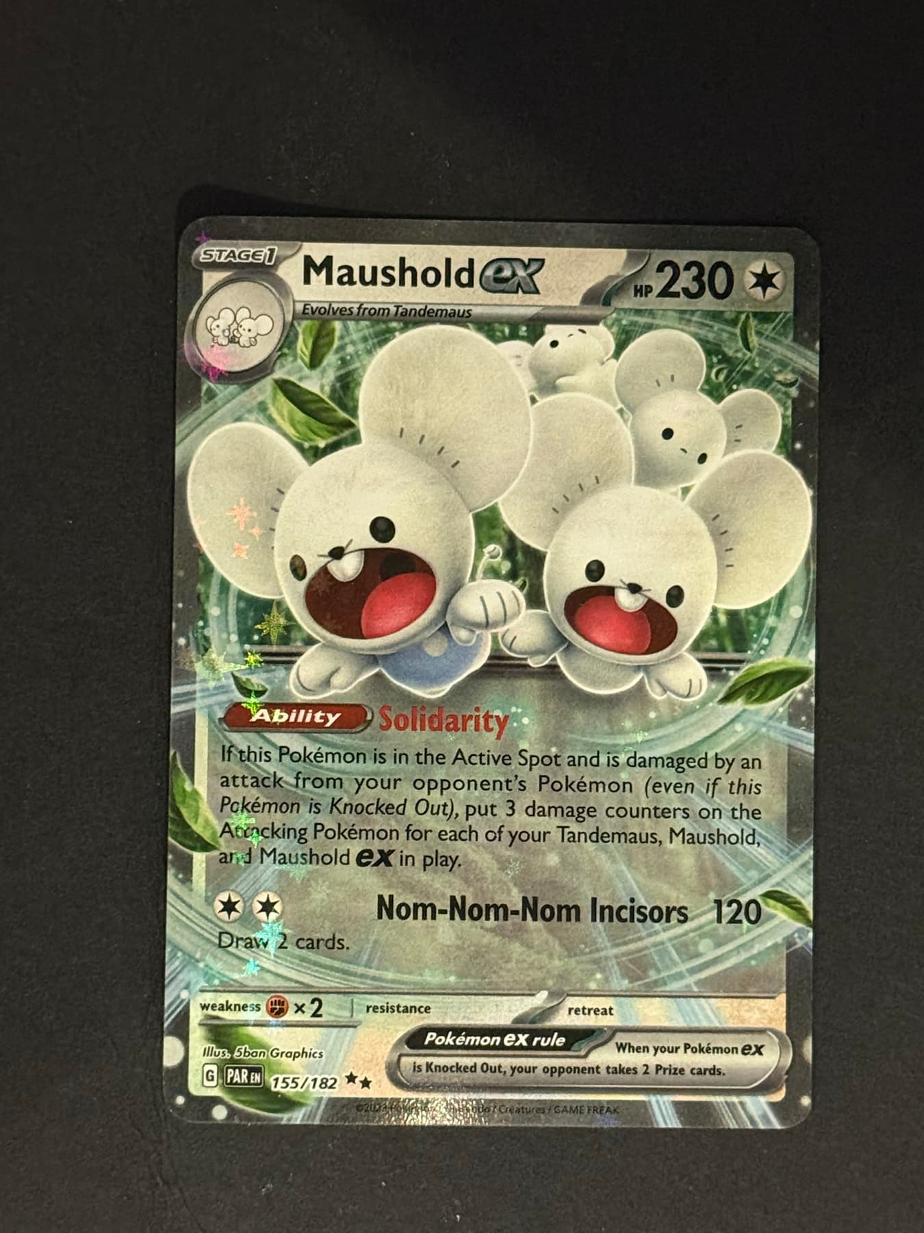 Maushold ex