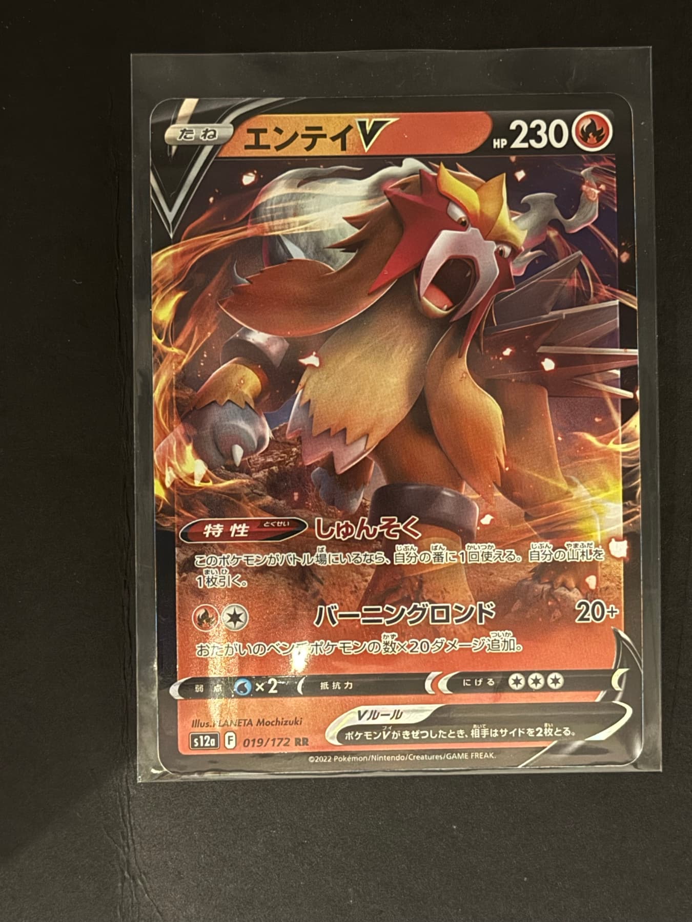 Entei V