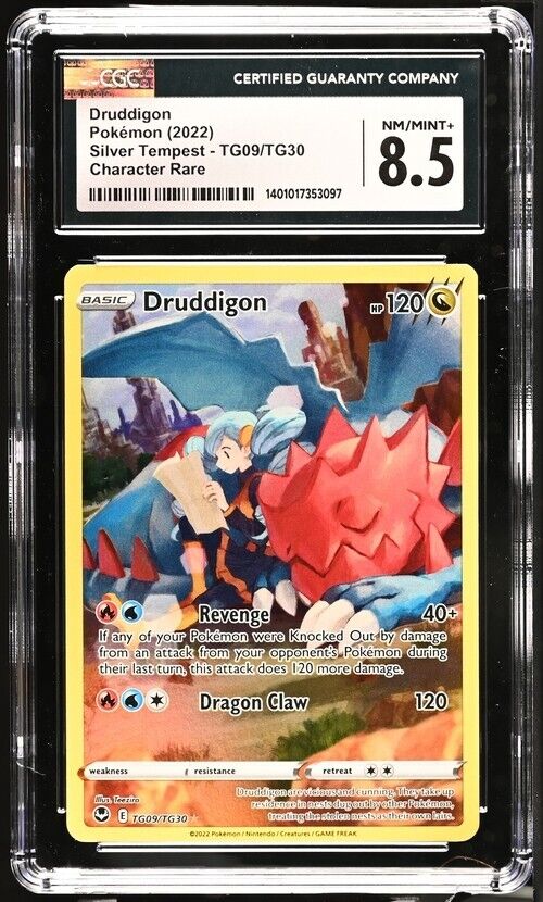 Pokemon Druddigon TG09/TG30 Silver Tempest English Character Rare 8.5 (2022) 