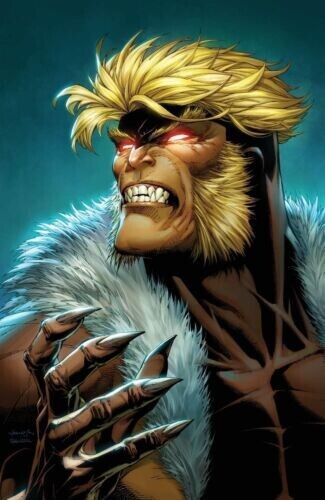 Wolverine  - Issue #32 - Scott Williams Virgin Variant (2023)