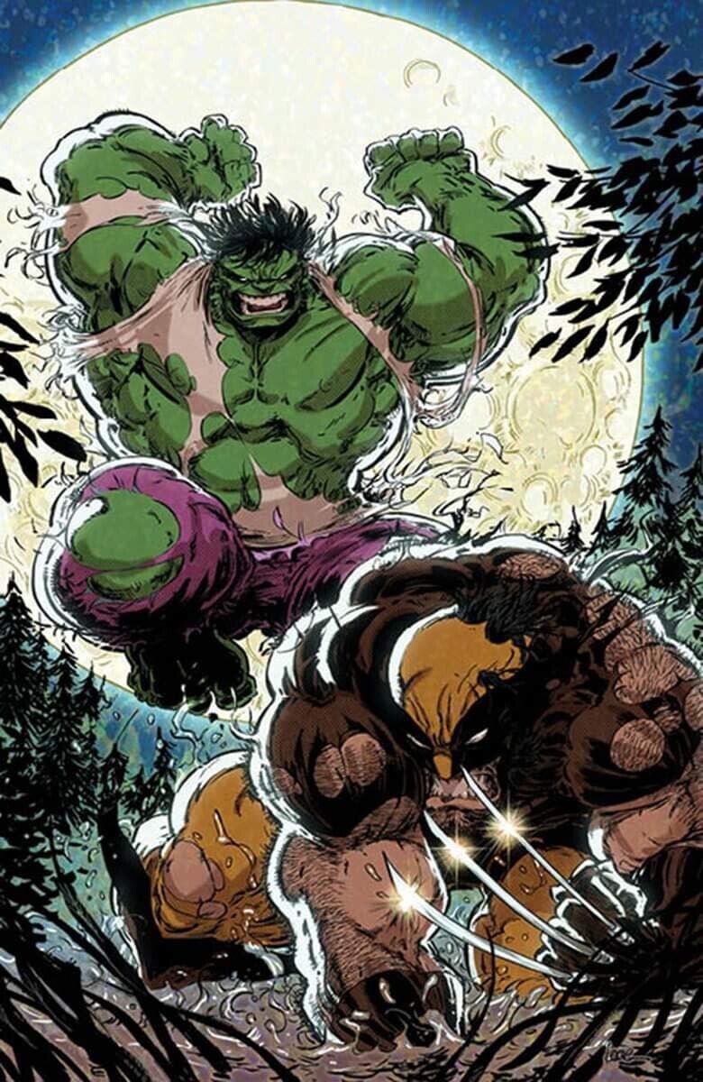 Incredible Hulk #181 Kaare Andrews Variant V