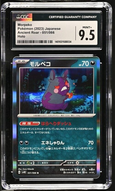 Pokemon Morpeko 051/066 Ancient Roar - sv4K Japanese Mint+ 9.5 (2023)